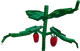 Elder Strawberry