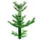 Horsetail